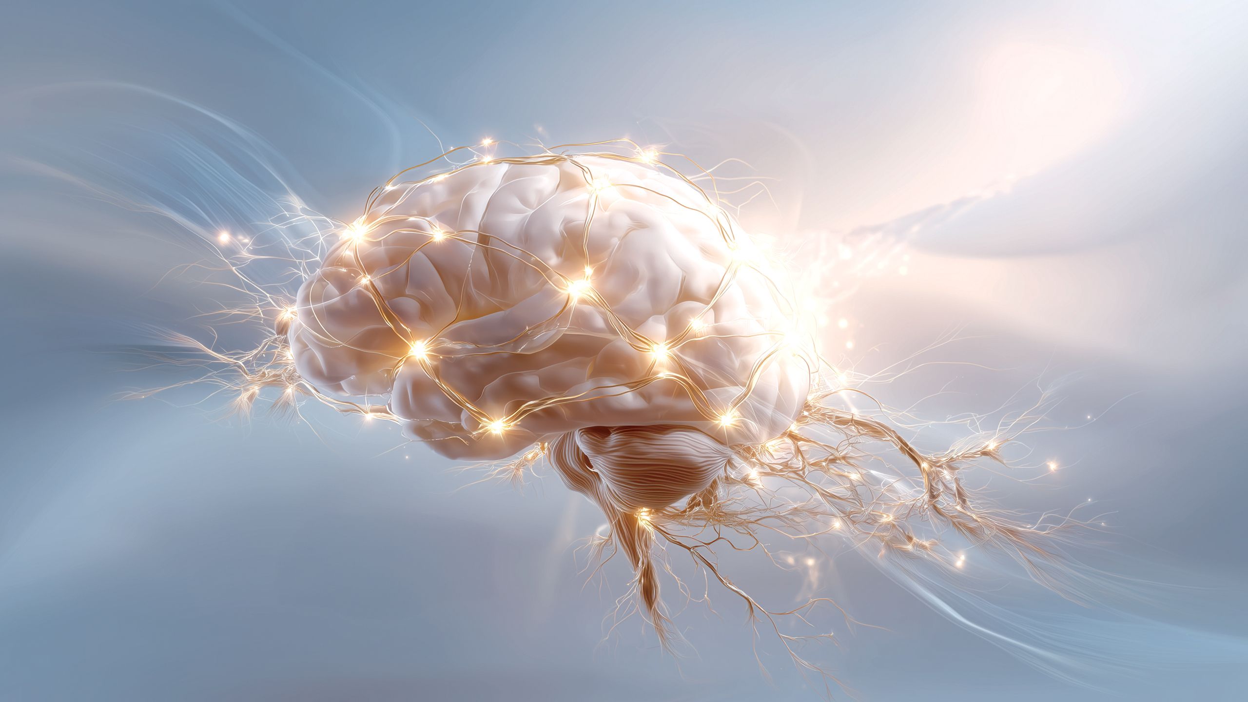 Restoration of the Brain: Plasticity